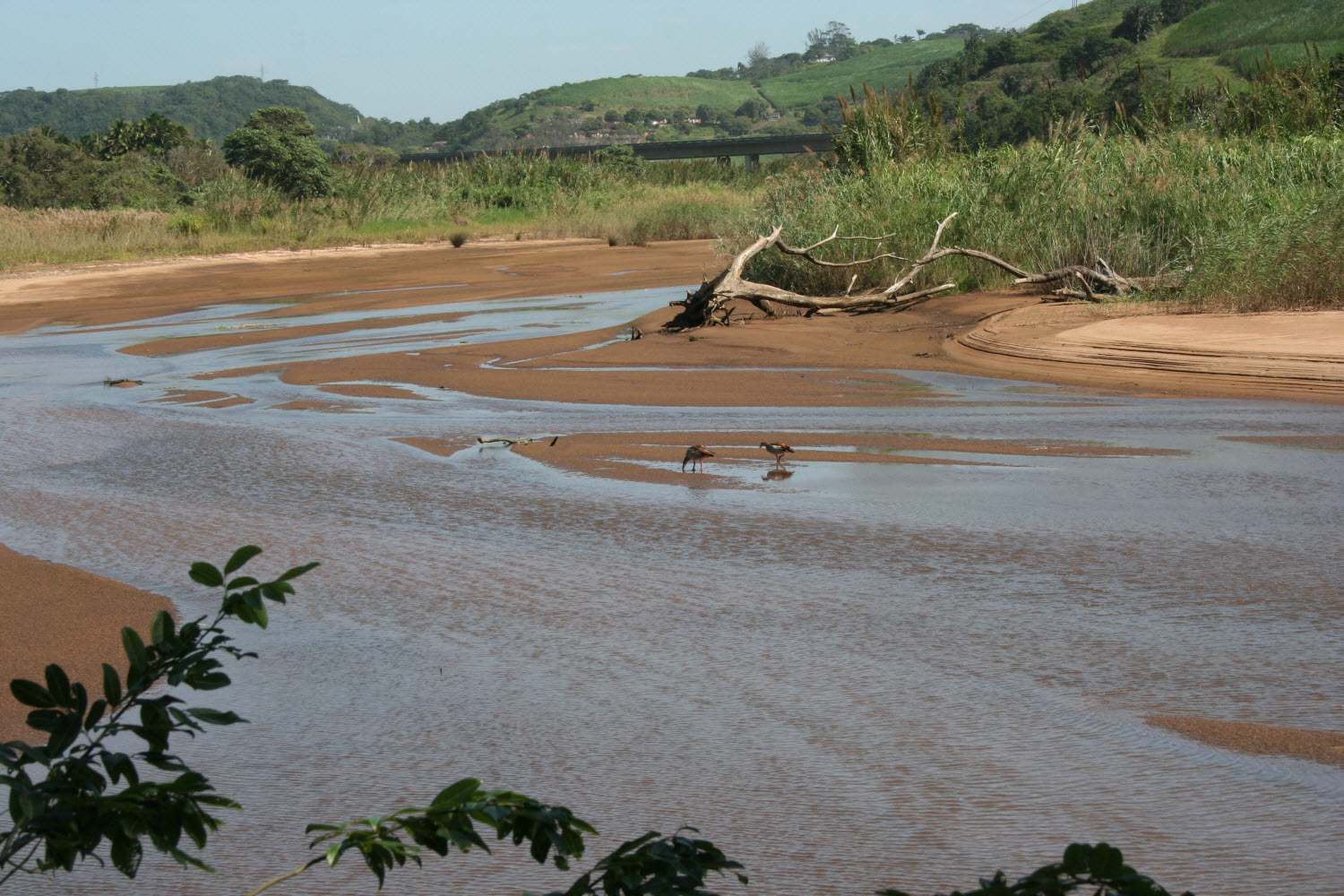 Mpanbanyoni River floodplain