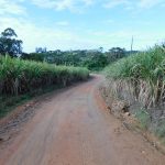 River Sand Road winding through the cane fields