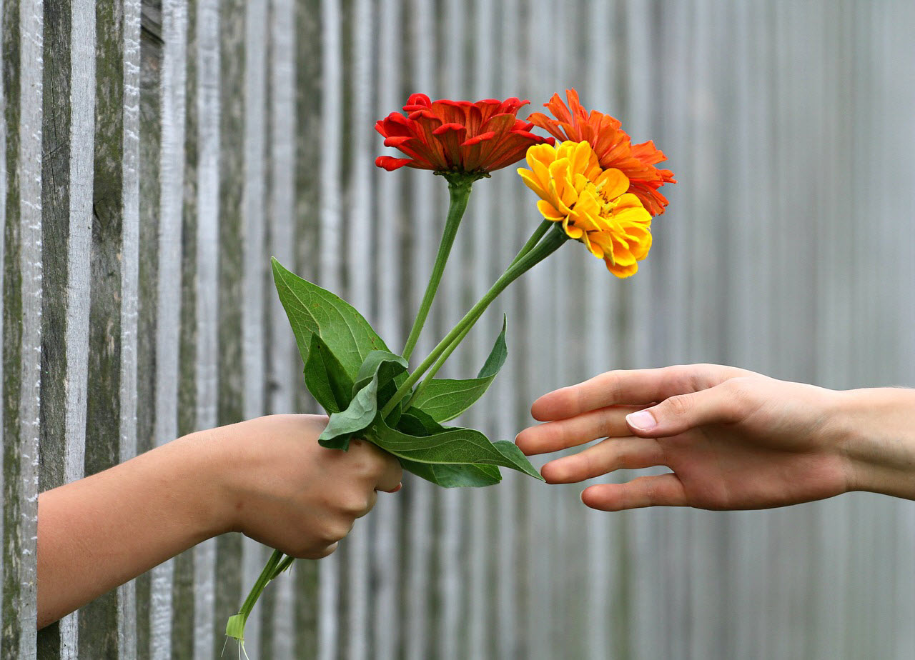 An image of two hands, one holding flowers being handed over the other