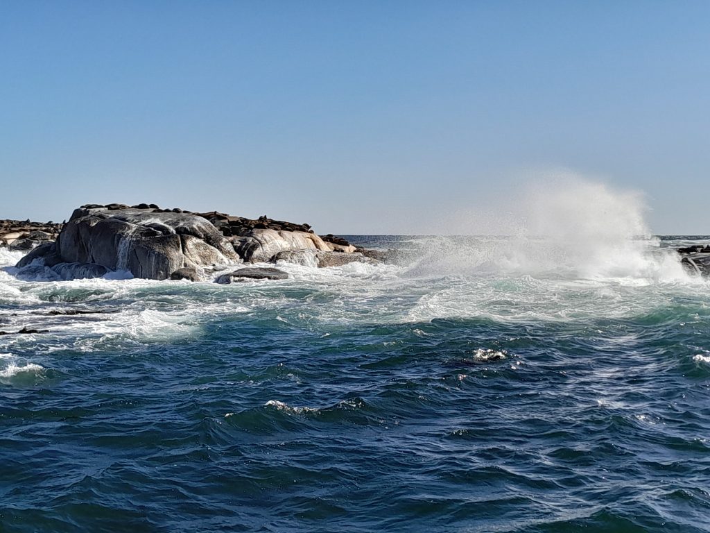 Rough seas and huge waves at Seal Island Hout Bay